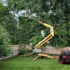 Organic Lawn Care Solutions in Oak Point, TX