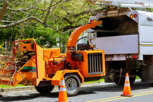 Best Firewood Processing and Delivery  in Oak Point, TX